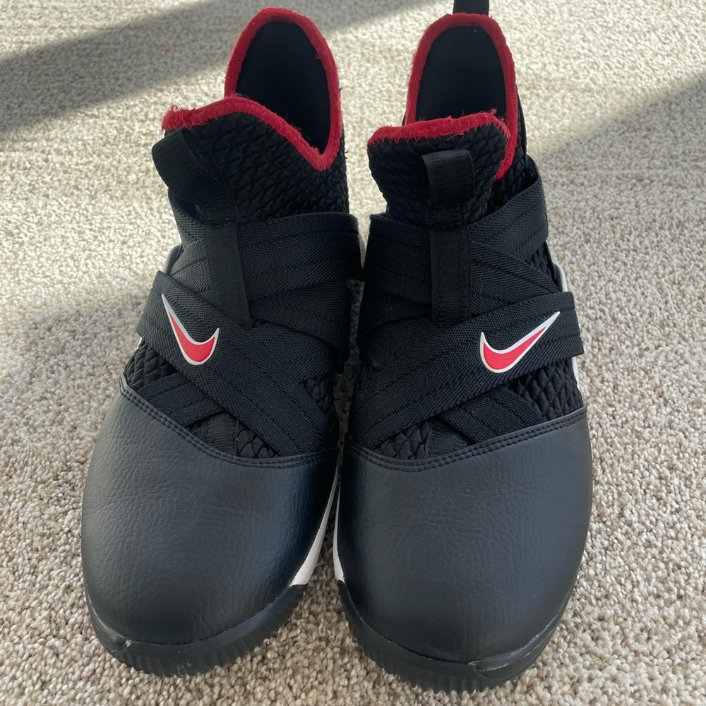 Lebron mens sneakers